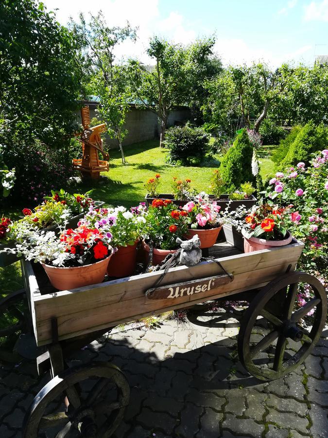 Urusel Guesthouse Tallinn Eksteriør billede